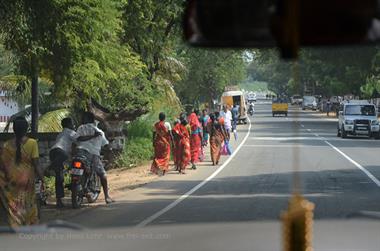 On Route Thekkady to Madurai,_DSC_7806_H600